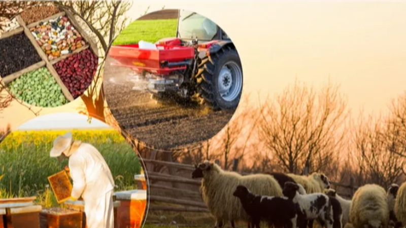 2 milyar TL'lik tarımsal destek hesaplarda