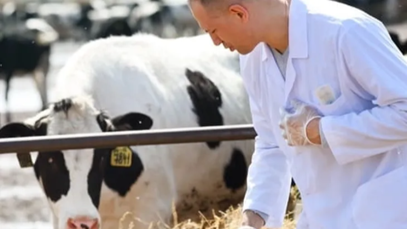 Tarımsal girdiler yüzde 33,66 arttı