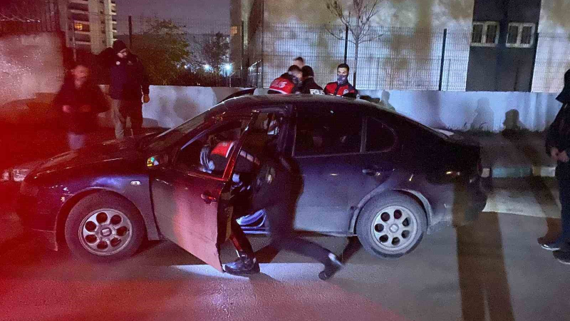 Geniş çaplı asayiş uygulaması