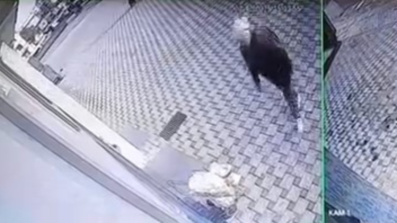 Pazar arabası hırsızlığı