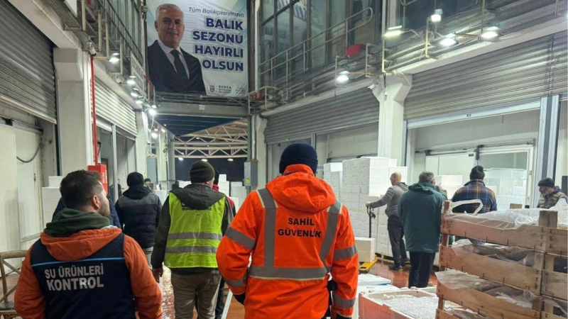 Balık halinde gece operasyonu