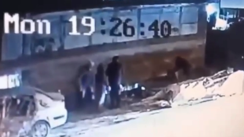 Demirtaş’ta başıboş köpek 3 kişiyi yaraladı