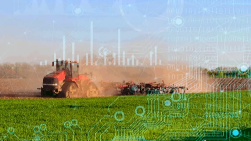 TÜİK 2025 bitkisel üretim verilerini açıkladı