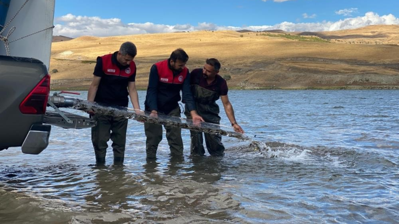 Türkiye nüfusu kadar balık deniz ve göllere bırakıldı