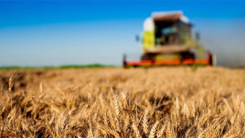 Yeni yılda kırsal kalkınmada destekler artıyor